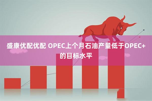 盛康优配优配 OPEC上个月石油产量低于OPEC+的目标水平