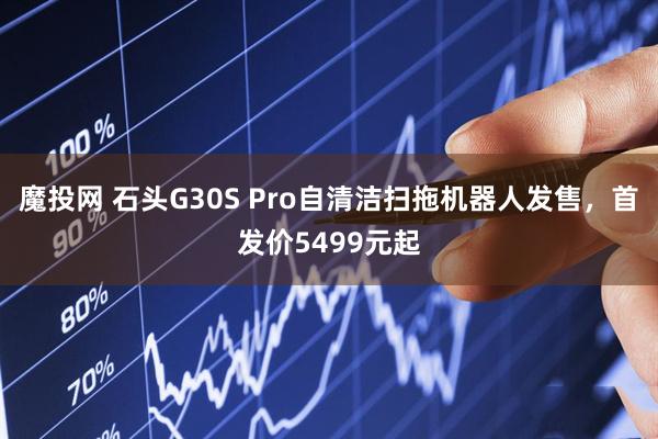 魔投网 石头G30S Pro自清洁扫拖机器人发售，首发价5499元起